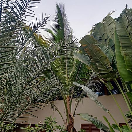 Casa Das Buganvilias Praia Dış mekan fotoğraf