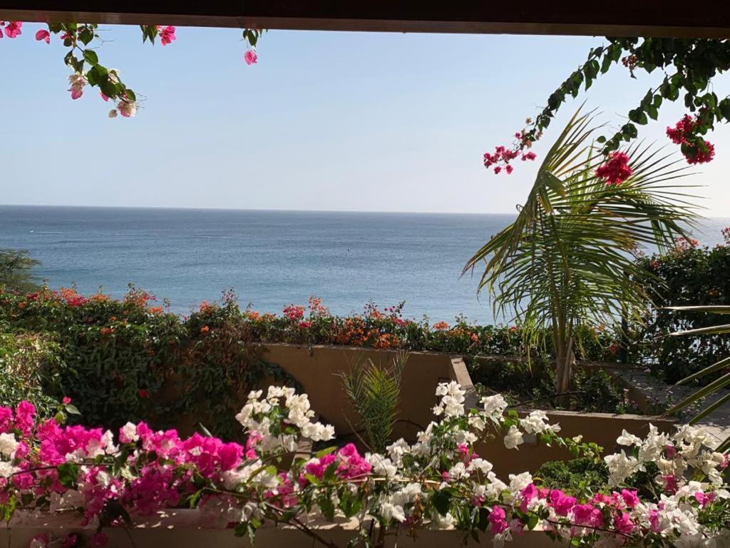 Casa Das Buganvilias Praia Dış mekan fotoğraf