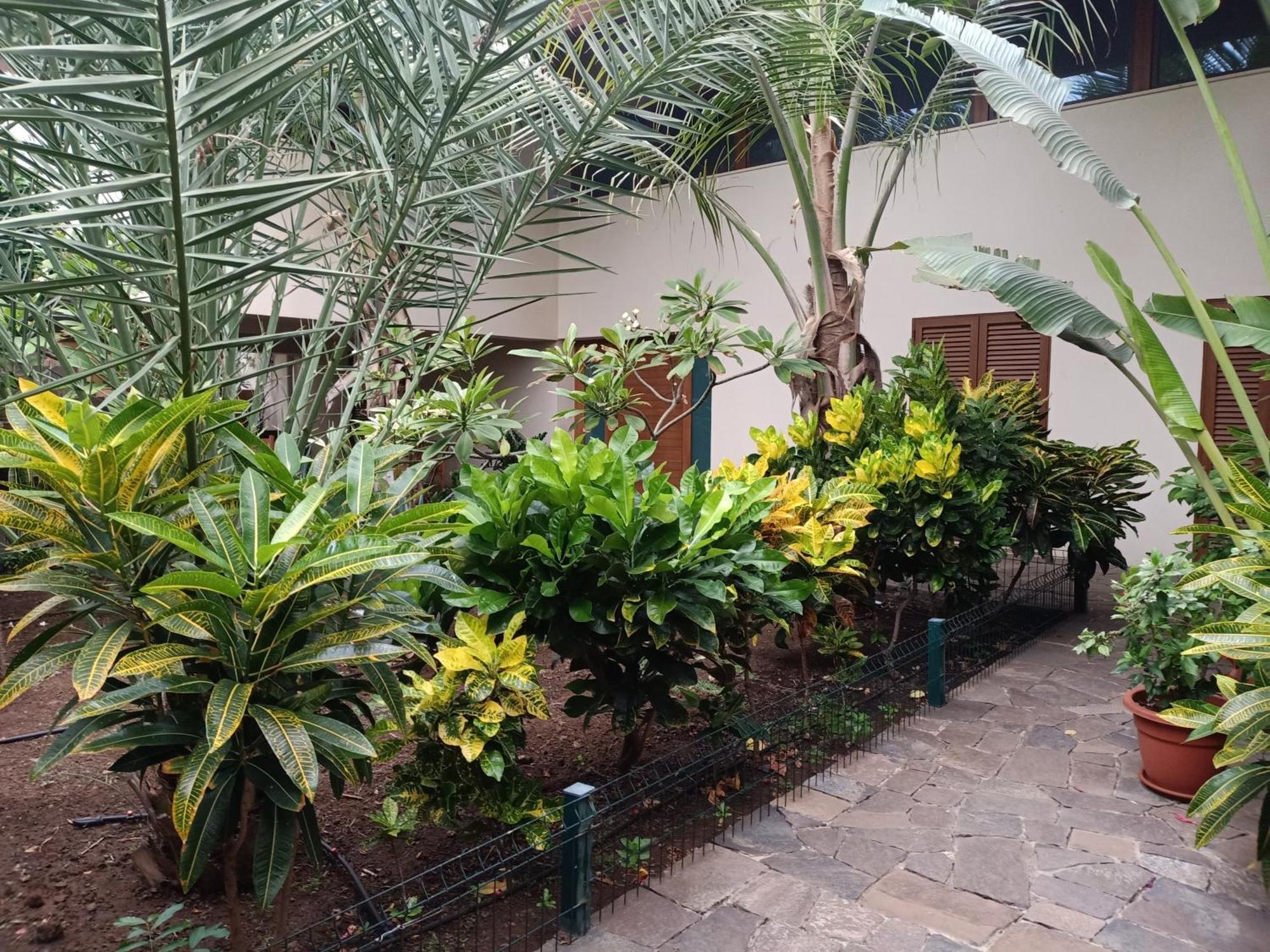 Casa Das Buganvilias Praia Dış mekan fotoğraf