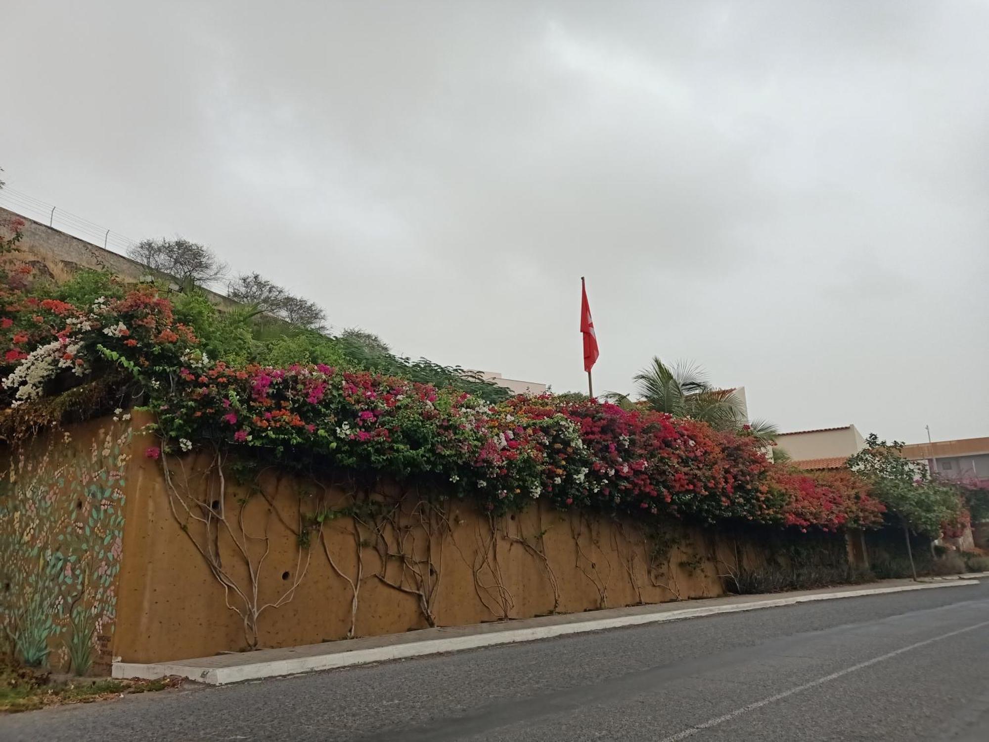 Casa Das Buganvilias Praia Dış mekan fotoğraf