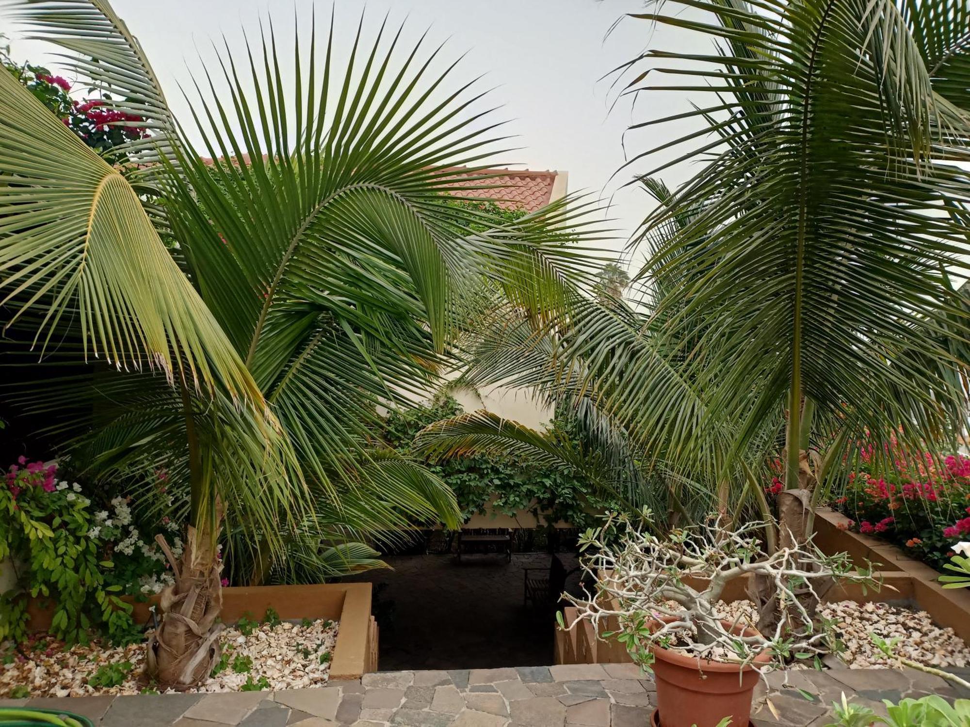 Casa Das Buganvilias Praia Dış mekan fotoğraf